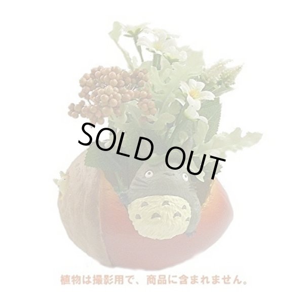 Photo7: Studio Ghibli PLANTER My Neighbor Totoro "Donguri saitayo" (7)