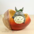 Photo1: Studio Ghibli PLANTER My Neighbor Totoro "Donguri saitayo" (1)