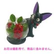 Photo7: Studio Ghibli PLANTER Kiki's Delivery Service "Jiji Flower base" (7)