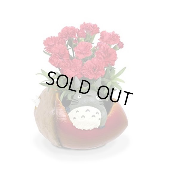 Photo8: Studio Ghibli PLANTER My Neighbor Totoro "Donguri saitayo" (8)