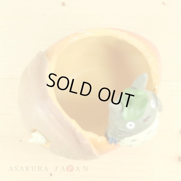 Photo6: Studio Ghibli PLANTER My Neighbor Totoro "Donguri saitayo" (6)