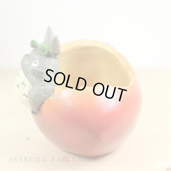 Photo5: Studio Ghibli PLANTER My Neighbor Totoro "Donguri saitayo" (5)