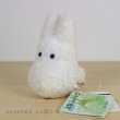 Photo1: Studio Ghibli FUKAFUKA Plush My Neighbor Totoro Sho Totoro Plush doll S size (1)