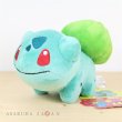 Photo2: Pokemon Center 2018 POKEMON DOLLS Plush Bulbasaur doll (2)