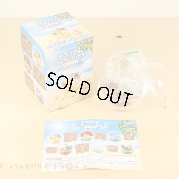 Photo2: Pokemon 2018 Sun & Moon Terrarium Collection EX Alola Regional #2 Litten Mini Figure (2)