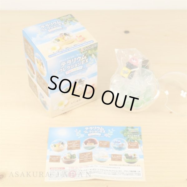 Photo2: Pokemon 2018 Sun & Moon Terrarium Collection EX Alola Regional #6 Bewear Mini Figure (2)