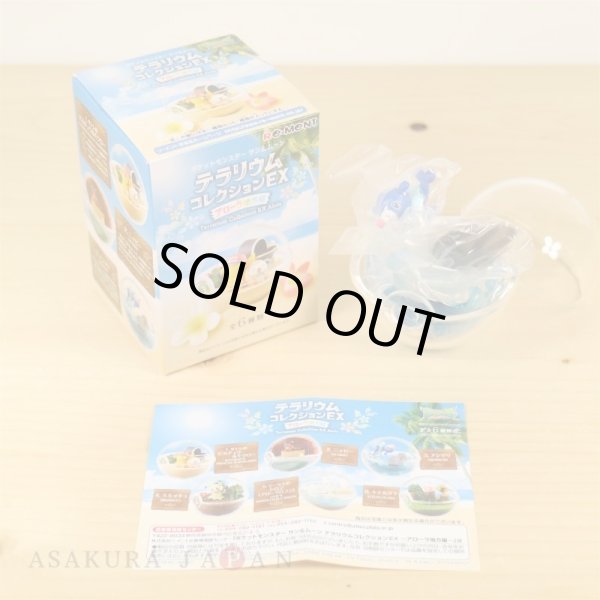 Photo2: Pokemon 2018 Sun & Moon Terrarium Collection EX Alola Regional #3 Popplio Mini Figure (2)