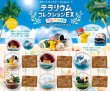 Photo2: Pokemon 2018 Sun & Moon Terrarium Collection EX Alola Regional set of 6 Figure Complete set Mini Figure (2)