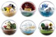 Photo1: Pokemon 2018 Sun & Moon Terrarium Collection EX Alola Regional set of 6 Figure Complete set Mini Figure (1)