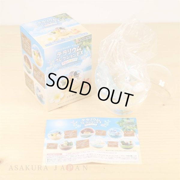 Photo2: Pokemon 2018 Sun & Moon Terrarium Collection EX Alola Regional #5 Alola vulpix Mini Figure (2)