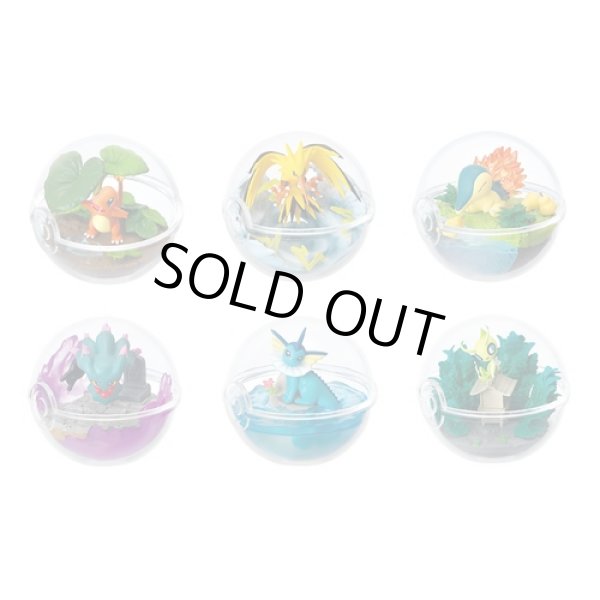 Photo2: Pokemon 2018 Terrarium Collection vol.3 #1 Charmander Mini Figure (2)