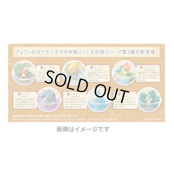 Photo5: Pokemon 2018 Terrarium Collection vol.3 #1 Charmander Mini Figure (5)