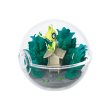 Photo1: Pokemon 2018 Terrarium Collection vol.3 #6 Celebi Mini Figure (1)