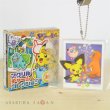 Photo1: Pokemon Center 2018 Pokemon Summer Life Acrylic Charm Key Chain #7 (1)