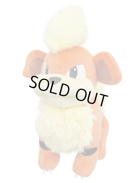 Photo1: Pokemon 2018 ALL STAR COLLECTION Growlithe Plush Toy SAN-EI (1)