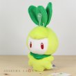 Photo2: Pokemon 2018 ALL STAR COLLECTION Petilil Plush Toy SAN-EI (2)