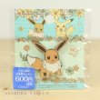 Photo2: Pokemon Center 2018 7days story Pin badge " Day 5 " Eevee Pins (2)