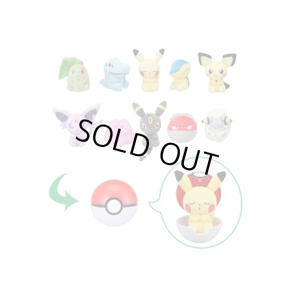 Photo3: Pokemon Center 2018 Petit Plush in Poke Ball Case vol.2 Totodile doll (3)