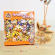 Photo1: Pokemon Center 2018 Halloween We Are TEAM TREAT ! Acrylic Charm Key Chain #2 Eevee (1)