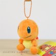 Photo2: Pokemon Center 2018 POKEMON DOLLS Plush Mascot Key Chain Charmander (2)
