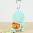 Photo3: Pokemon Center 2018 POKEMON DOLLS Plush Mascot Key Chain Squirtle (3)