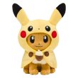 Photo1: Pokemon Center 2018 FAN OF PIKACHU & EEVEE Pikachu Poncho Eevee Plush doll (1)