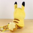 Photo3: Pokemon Center 2018 FAN OF PIKACHU & EEVEE Pikachu Poncho Eevee Plush doll (3)