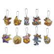 Photo3: Pokemon Center 2018 FAN OF PIKACHU & EEVEE Acrylic Charm Key Chain Eevee Poncho Pikachu (3)