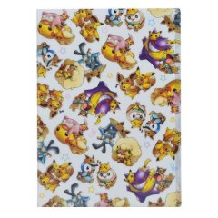 Pokemon Center 2018 FAN OF PIKACHU & EEVEE A4 Size Clear File double pockets