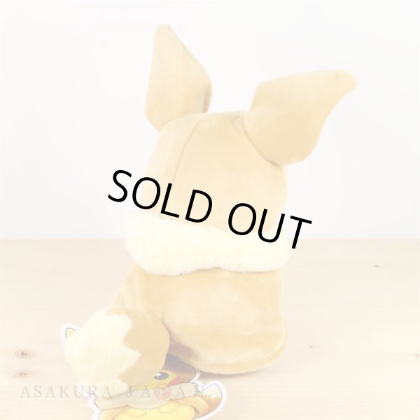 Photo3: Pokemon Center 2018 FAN OF PIKACHU & EEVEE Eevee Poncho Pikachu Plush doll (3)