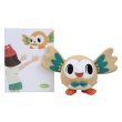 Photo1: Pokemon Center 2018 pokemon time Boxed Plush doll Rowlet (1)