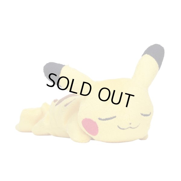 EEVEE Collection 2018 Pokemon Center Ltd Suyasuya Sleeping Plush/KUTTARI PIKACHU 