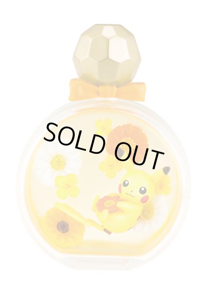 Photo3: Pokemon 2018 PETITE FLEUR Complete set of 6 Mini Figure (3)