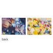 Photo2: Pokemon Center 2018 MOFU-MOFU PARADISE A4 Size Clear File 2 pc (2)