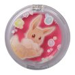 Photo1: Pokemon Center 2018 Pikachu & Eevee Cosmetics series Blush & Lip Balm Eevee (1)