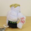 Photo3: Pokemon Center 2018 Pokemon fit Mini Plush #67 Machoke doll Toy (3)