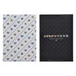 Photo2: Pokemon Center 2019 Eevee DOT COLLECTION A4 Size Clear File 2 pc Eevee Evolutions (2)