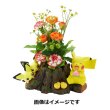 Photo5: Pokemon 2018 PLANTER Pikachu Mori de Hitoyasumi Break in the forest (5)