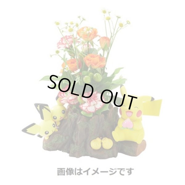 Photo5: Pokemon 2018 PLANTER Pikachu Mori de Hitoyasumi Break in the forest (5)