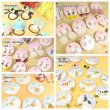 Photo5: Pokemon Center 2018 Pokemon accessory Series Clips Earrings E14 (5)