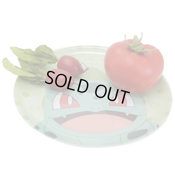 Photo4: Pokemon 2019 Tableware Melamine Plate Squirtle dot (4)
