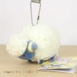 Photo2: Pokemon Center 2019 Transform Ditto Mareep Plush Mascot Key Chain (2)