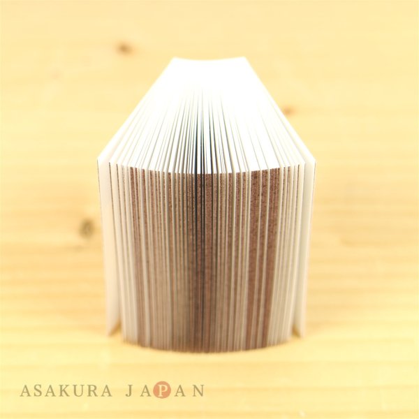 Photo4: Studio Ghibli My Neighbor Totoro Match box shaped Memopad 2 pieces (4)