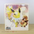 Photo1: Pokemon Center 2019 My 151 Eevee Campaign Shikishi Art picture Jolteon (1)