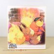 Photo1: Pokemon Center 2019 My 151 Eevee Campaign Shikishi Art picture Flareon (1)