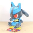 Photo4: Pokemon Center 2019 POKEMON DOLLS Plush doll Lucario (4)