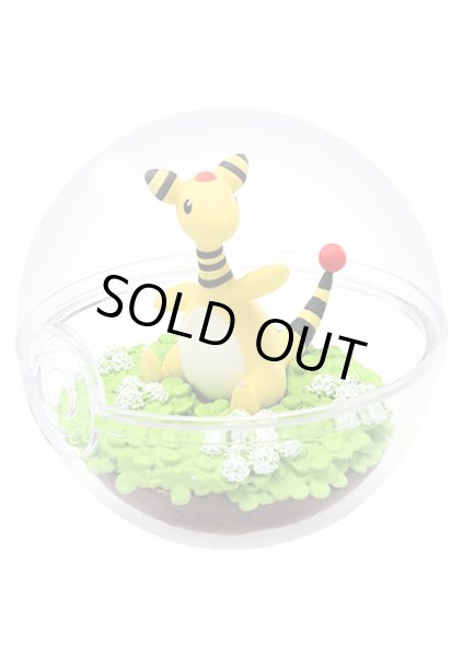 Photo1: Pokemon 2019 Terrarium Collection vol.5 #2 Ampharos Mini Figure (1)