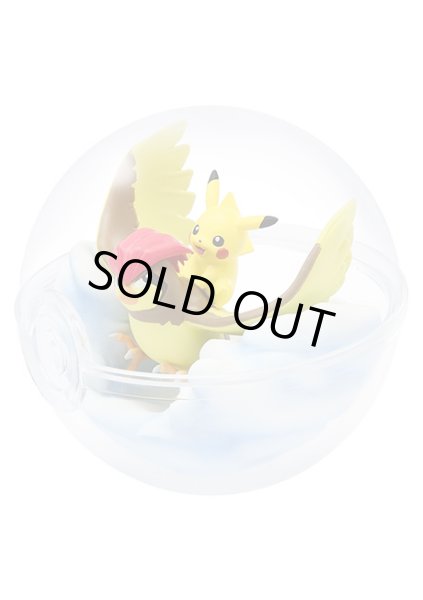 Photo1: Pokemon 2019 Terrarium Collection vol.5 #1 Pikachu & Pidgeotto Mini Figure (1)