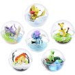 Photo1: Pokemon 2019 Terrarium Collection vol.5 set of 6 Figure Complete set Mini Figure (1)