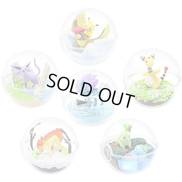 Photo1: Pokemon 2019 Terrarium Collection vol.5 set of 6 Figure Complete set Mini Figure (1)